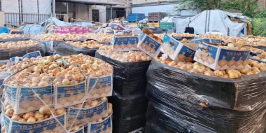 Nothilfe in Gaza zeigt Wirkung: fast 400 Familien erreicht